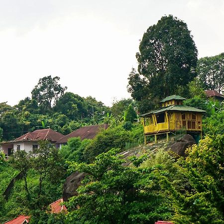 Oyo 10262 Hotel Munnar Rock Zewnętrze zdjęcie
